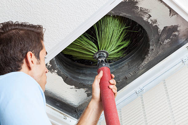 Best Home Air Vent Cleaning  in Westport, WA